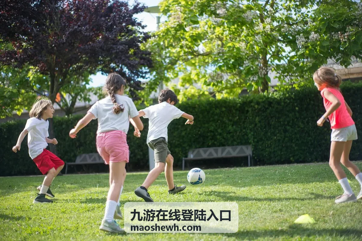 九游在线登陆入口访问前检查清单示意图