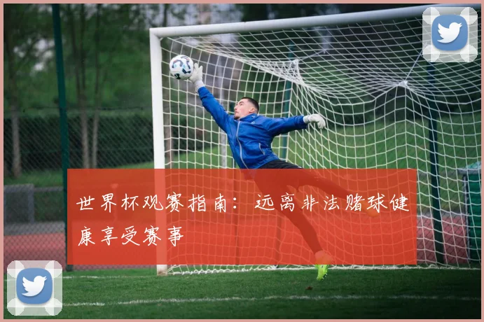 世界杯观赛指南:远离非法赌球健康享受赛事