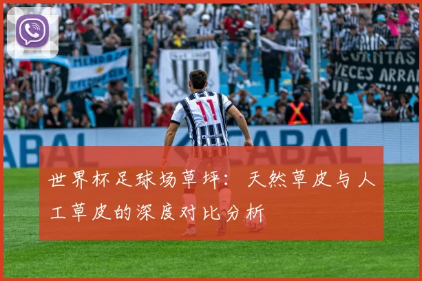 世界杯足球场草坪:天然草皮与人工草皮的深度对比分析