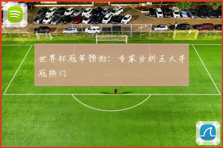 世界杯冠军预测:专家分析五大夺冠热门