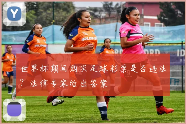 世界杯期间购买足球彩票是否违法？法律专家给出答案