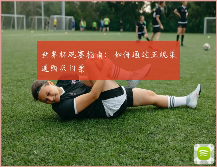 世界杯观赛指南：如何通过正规渠道购买门票
