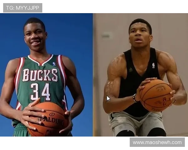 NBA最佳大前锋调查结果字母哥高居榜首莫布里仅获7选票