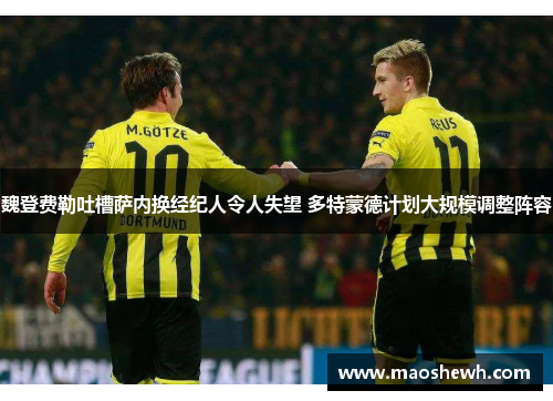 魏登费勒吐槽萨内换经纪人令人失望 多特蒙德计划大规模调整阵容